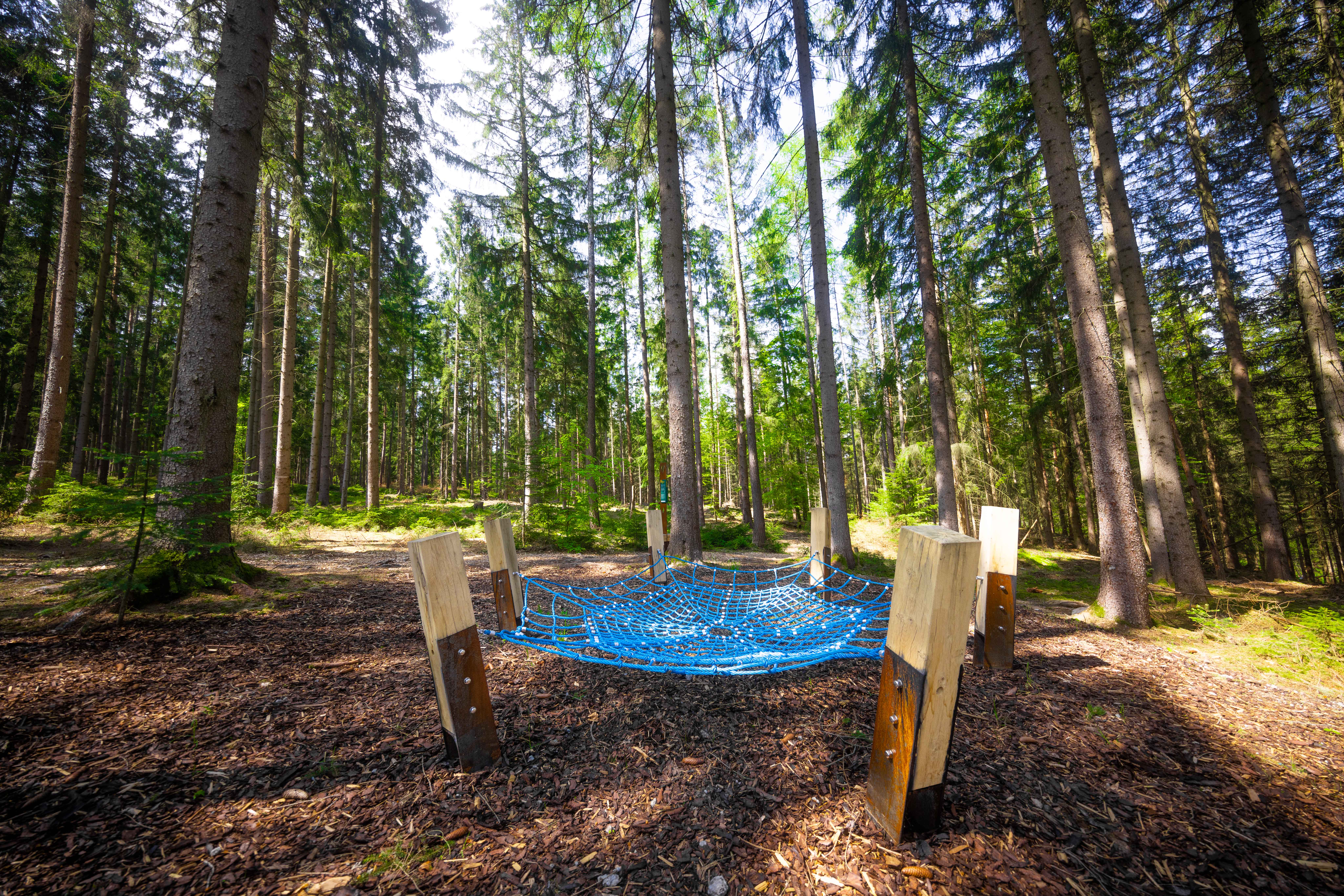 Station „Waldbadezimmer“ mit netzförmiger Hängematte und natürlicher Waldumgebung.