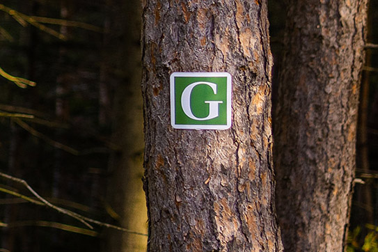 Orientierungsplakette mit Goethe-Symbol an einem Baum im Wald.