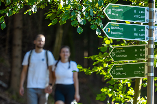 anderer betrachten einen Wegweiser mit Entfernungsangaben im Wald.